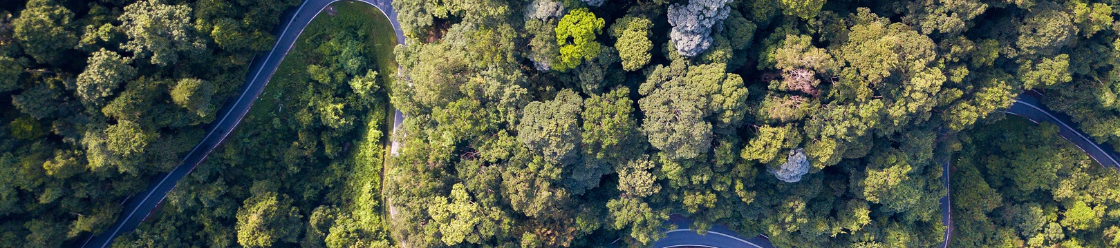 Aerial view of winding roads through dense forest, showcasing lush greenery. Mobius Renewables promotes sustainable travel.