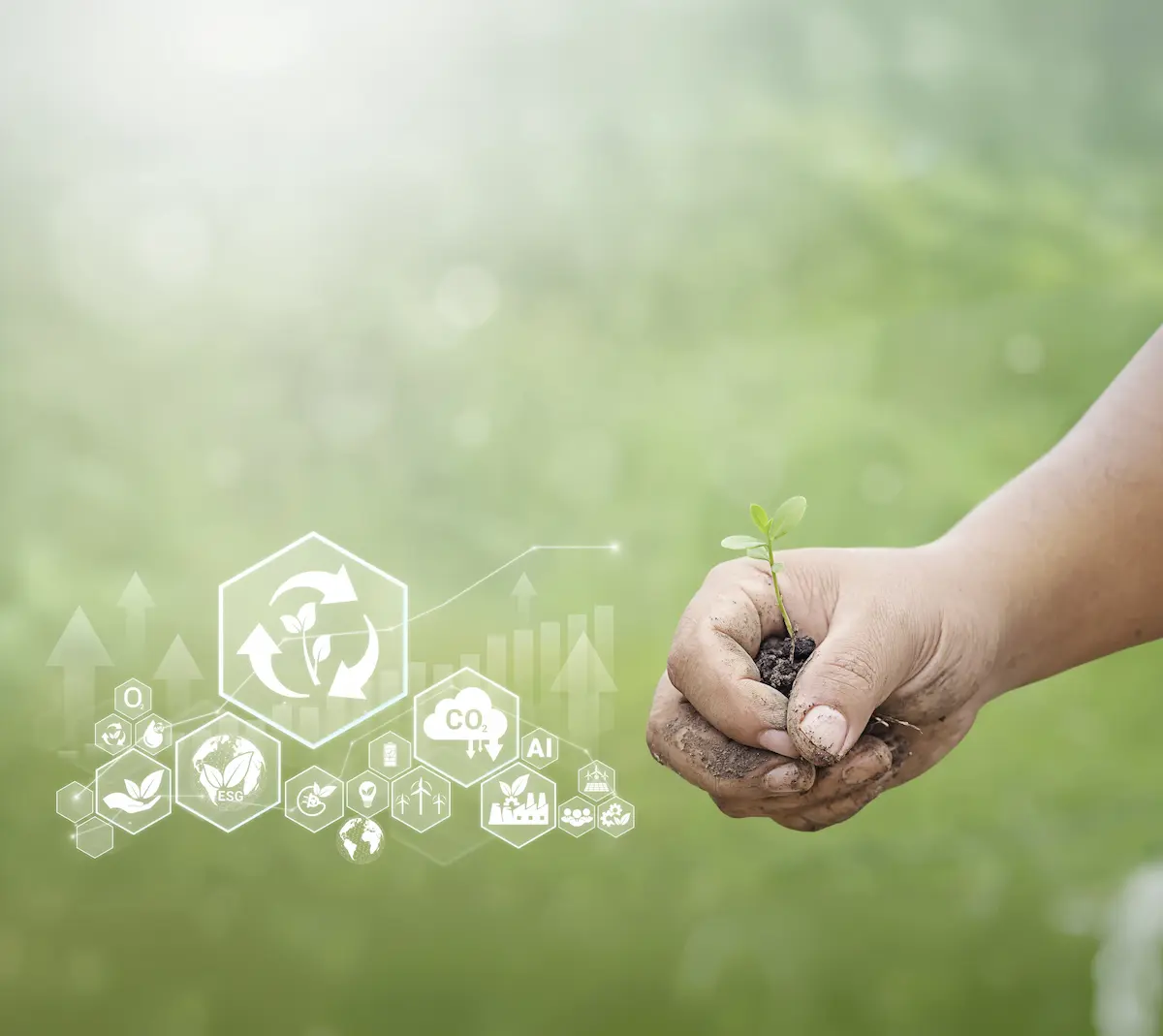 Organic waste materials used for renewable energy production