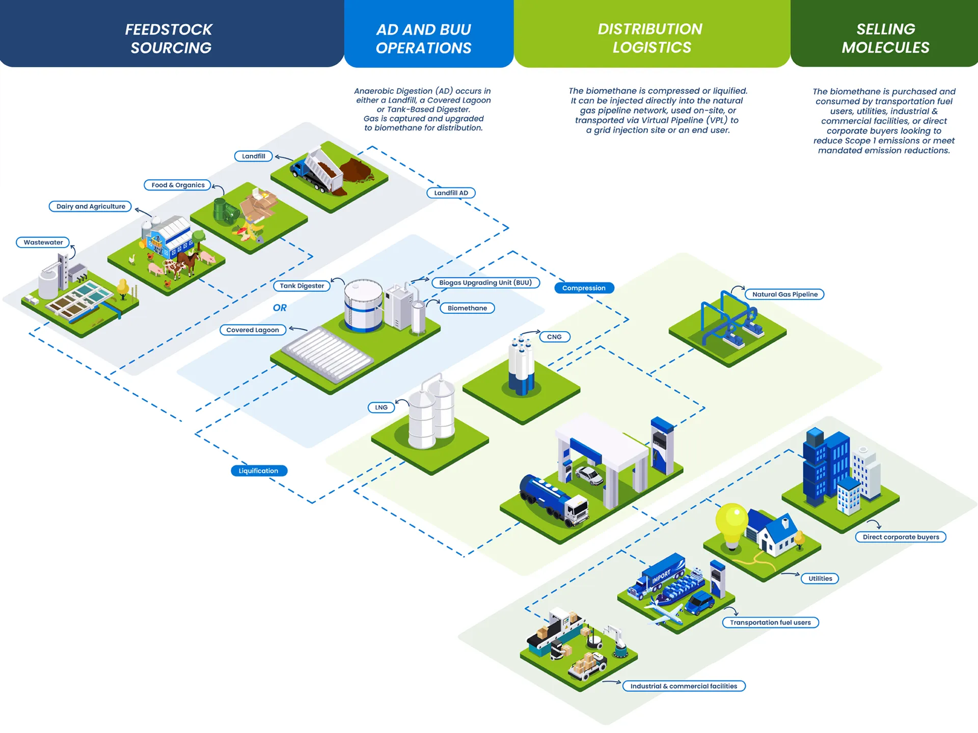 Infographic ampliado